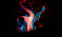 Featured image of post DOUDOU / FloruitShow: When We Light the Torches | 福禄寿：当我们点起火把