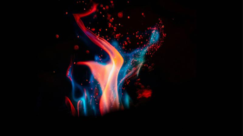 Featured image of post DOUDOU / FloruitShow: When We Light the Torches | 福禄寿：当我们点起火把